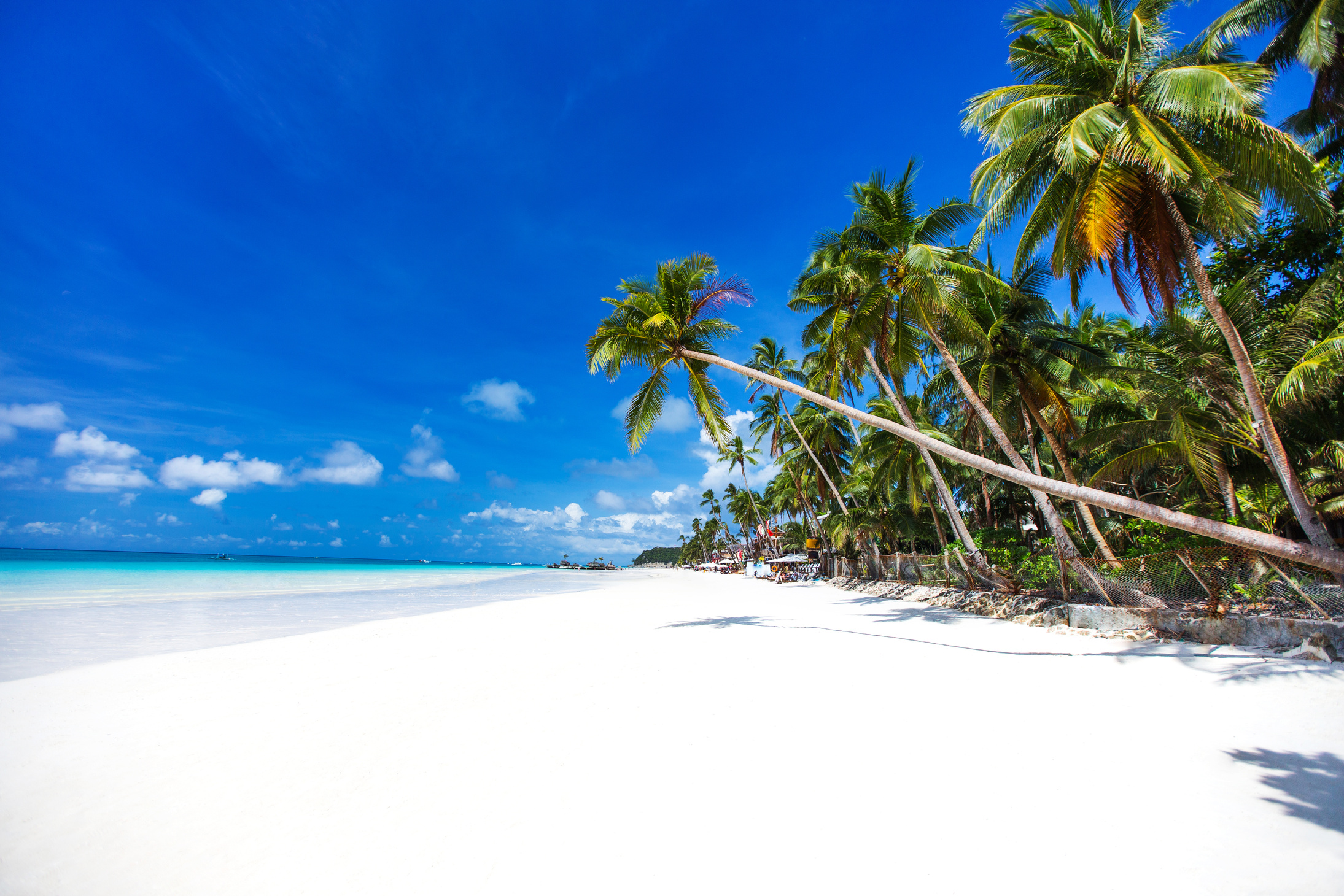 white sandy tropical beach